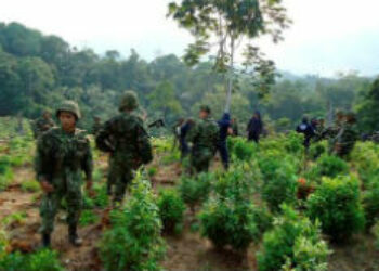 Colombia Captures Guerrilla Group's 'Link' to Sinaloa Cartel
