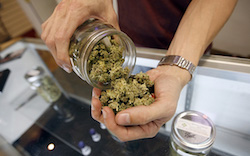 Uruguay looks to begin marijuana sales following legalization in 2013