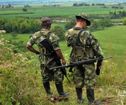 FARC militants overlook a field