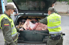 Colombian police inspect contraband meat
