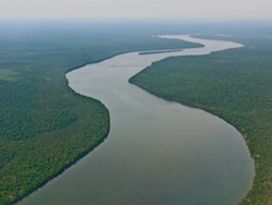 The Amazon River in Brazil