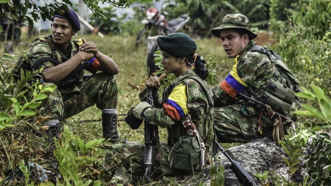 FARC fighters are waiting to enter the peace concentration zones