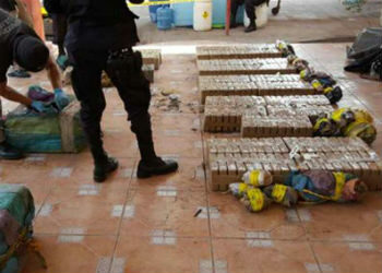 Sinaloa Cartel-Linked Drug Network Dismantled in El Salvador
