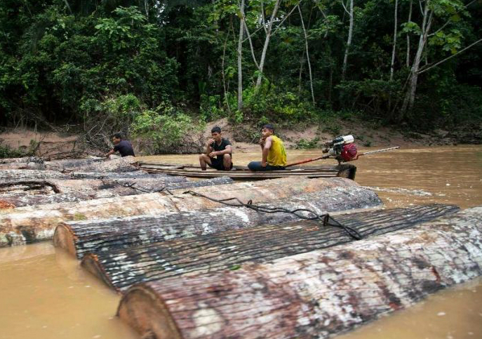 Loggers move tree trunks down the Putaya River in Peru