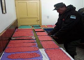 Ecstasy seized in Argentina