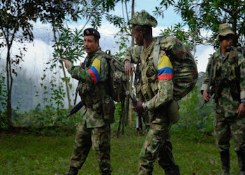 Members of Colombia's FARC