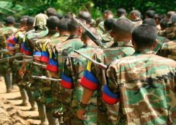 Report Details Potential Surrender Agreement With Urabeños in Colombia