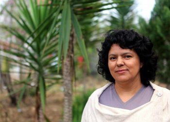 Berta Cáceres Murder Report Underscores Criminal Ties of Honduras Business, State