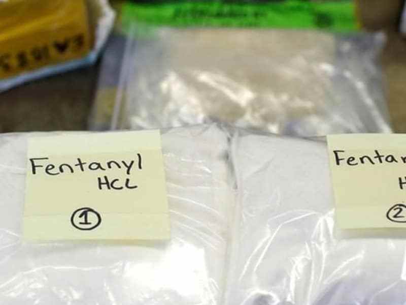 In 2018, US authorities began following a Bulgarian biochemist who they believed was running a small fentanyl laboratory in Mexico.