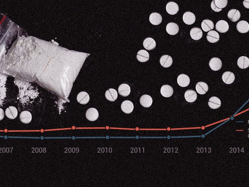The Fentanyl Trade Through Mexico, Explained in 8 Graphs