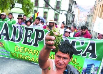 Bolivia Coca Growers Fight for Control of Legal Production