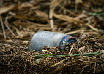 Will Government Inaction See Landmine Use Spike in Colombia?