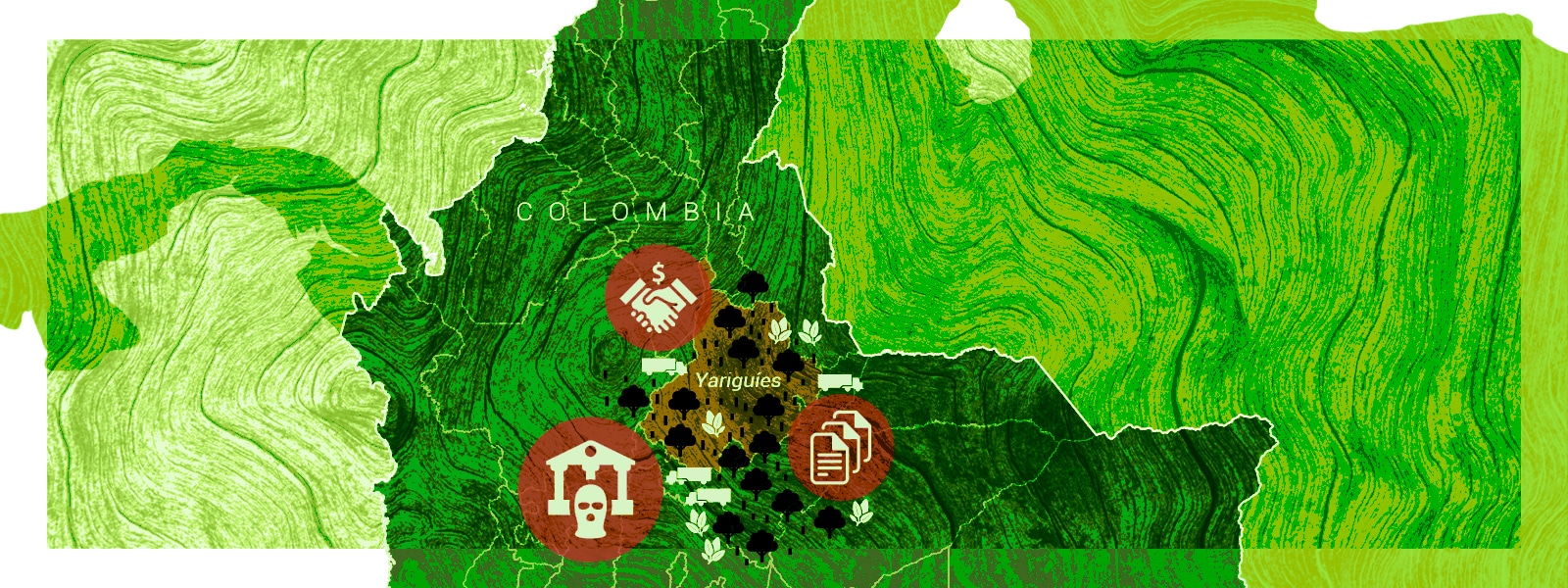 How Colombian Regulators Became Purveyors of Illegal Wood