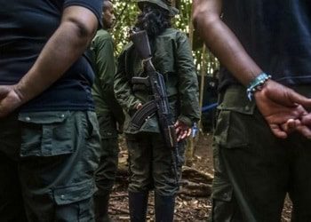 New Names, Old Tricks for ex-FARC Mafia in Colombia's Putumayo