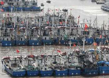 Dozens of Chinese fishing vessels at a dock