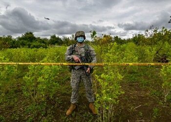 Colombia's Cocaine Keeps On Reaching New Heights: UNODC Report