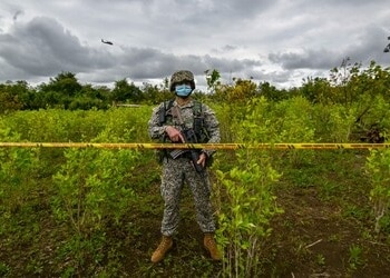 Soldados protegen cultivos de coca