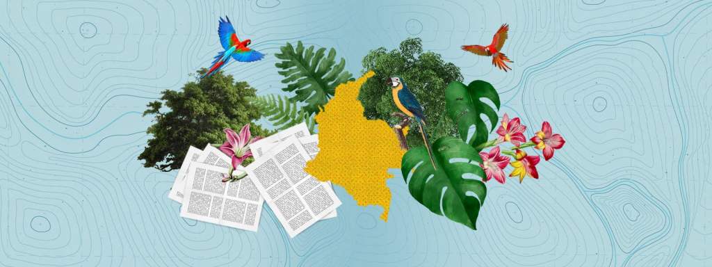 Un largo camino: respuestas a delitos ambientales en la Amazonía colombiana