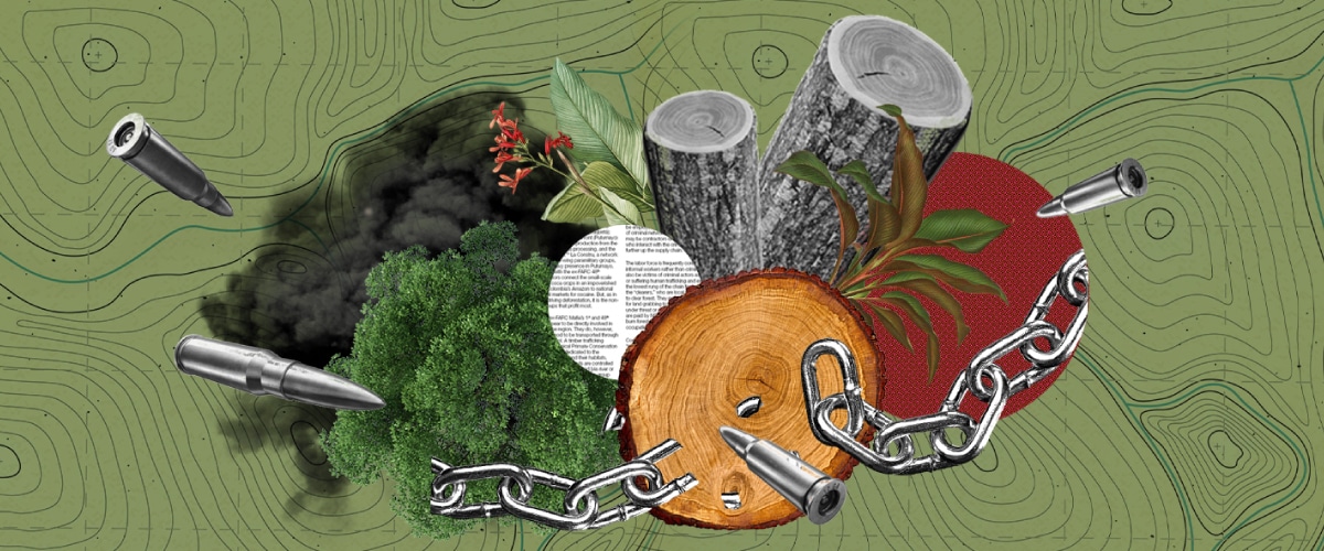Series on Environmental Crime in the Amazon Generates Headlines