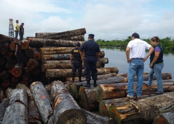 Operación Yacu Kallpa contra Tala ilegal en Amazonas de Peru - Foto de Ojo Público