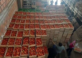 A shipment of contraband tomatoes seized in Paraguay