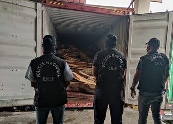 tráfico de madera en Panamá