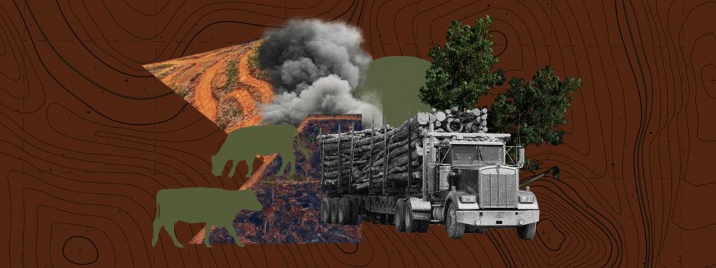 Arrasar y quemar: la deforestación en la Amazonía peruana