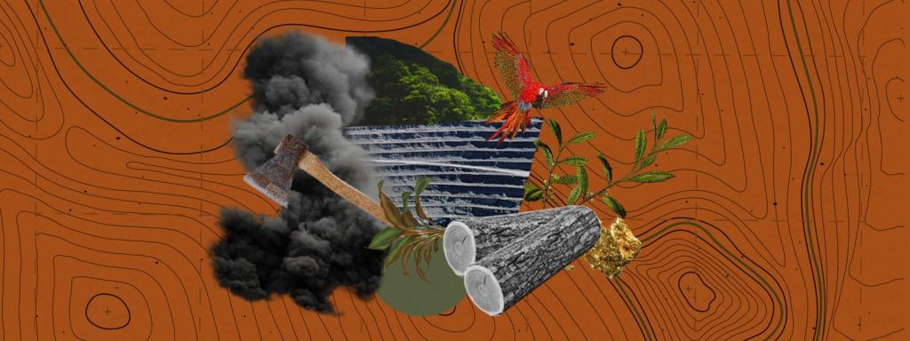 Árboles de dinero: los delitos ambientales en la Amazonía peruana
