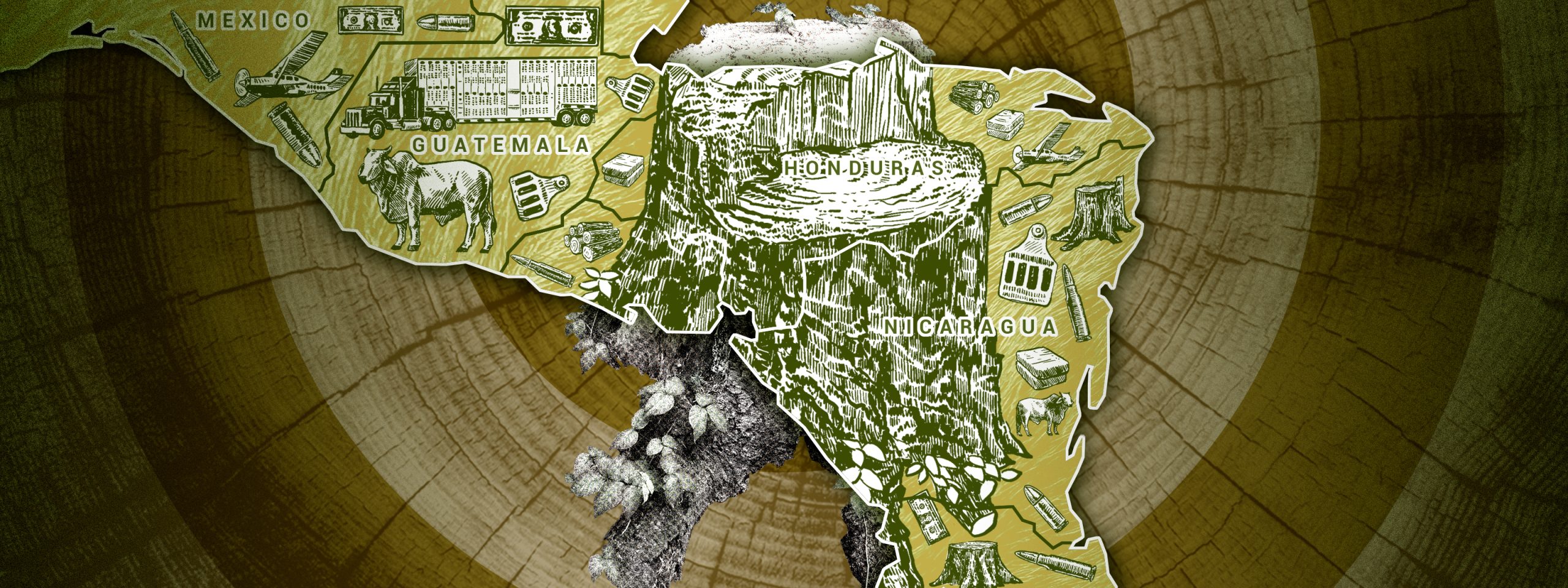 Ilustración del mapa de Centroamérica junto a imágenes de ganado