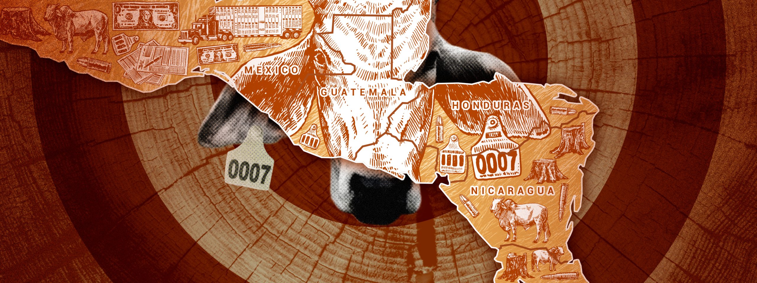 Ilustración del mapa de Centroamérica con una imagen de cabeza de ganado de fondo