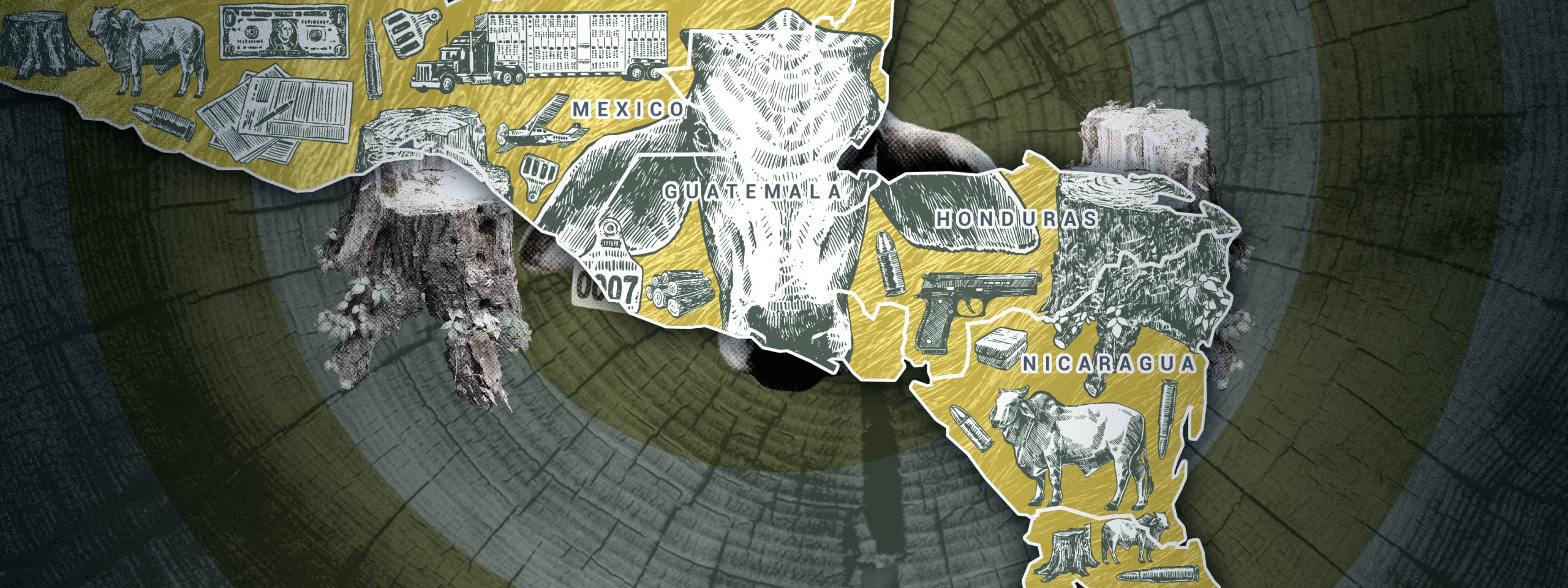 Cattle-environmetal crime-mexico-nicaragua-guatemala-honduras-illustration-cow-corruption