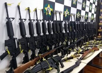 Multiple high-powered rifles seized