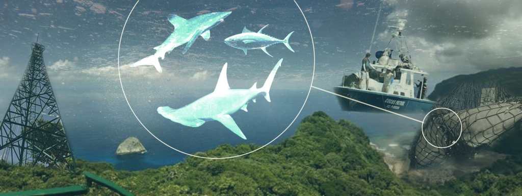 La esperanza en los radares se estrella contra la realidad de la pesca ilegal en Costa Rica