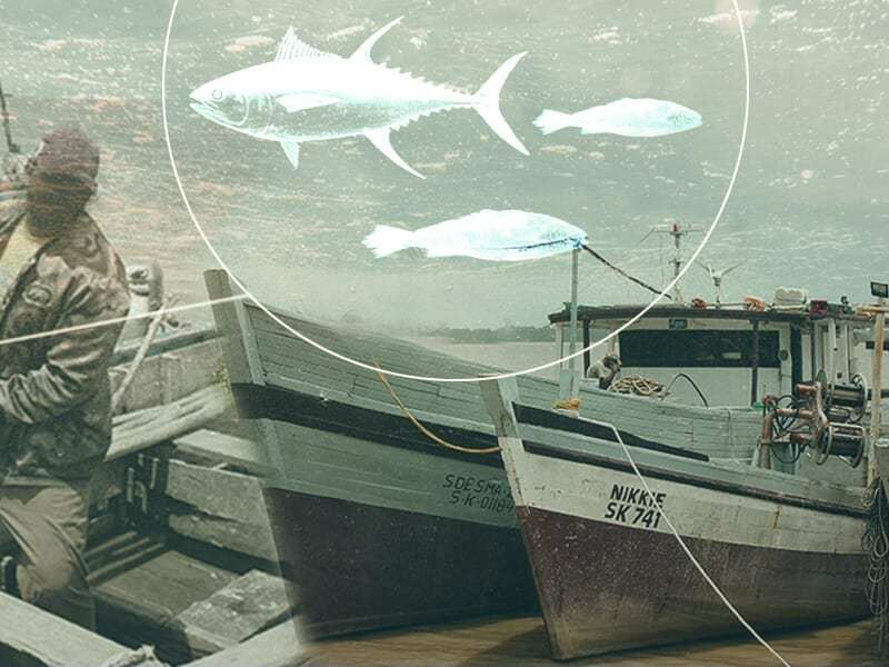 Suriname-Illegal Fishing-IUU-Black-Market-Licenses