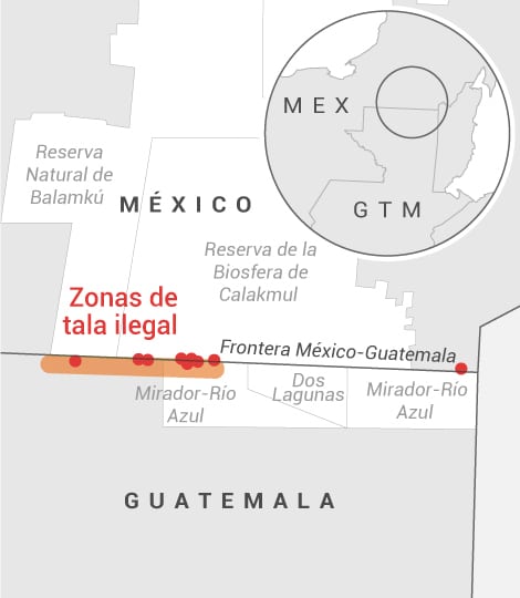 Mapa de las zonas de tala ilegal en Mexico Guatemal