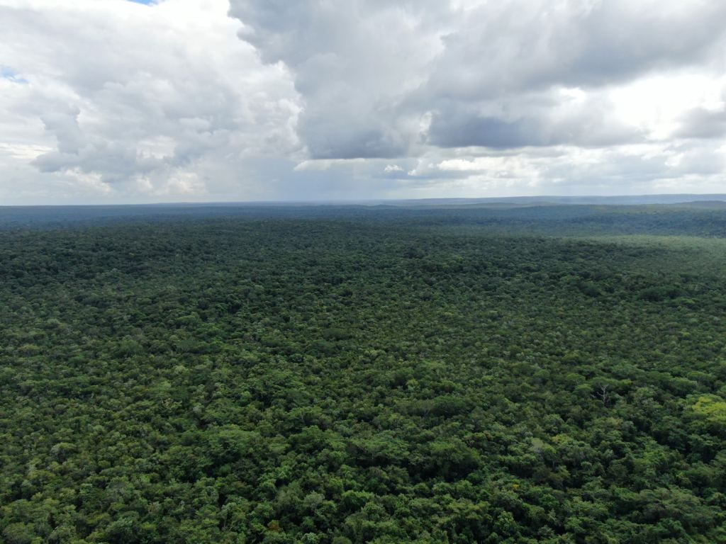 selva maya dron image