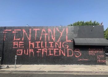 From Deception to Demand: US Fentanyl Users Now Want Fentanyl