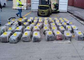 Fifty packages of cocaine found by authorities in Jamaica's Port of Kingston