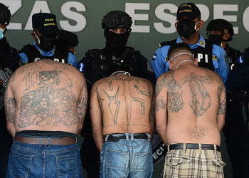 Southern Mexico Extortion Suggests Migration of Central American Gangs 
