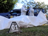 Cocaine and Marijuana Fuel Ever-Higher Homicides in Costa Rica