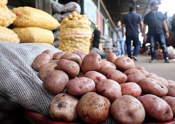 Contraband potatoes being sold in Caracas, Venezuela.