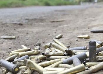 Bullet casings left behind from a CJNG vs. Gulf Cartel shootout in Tula, Tamaulipas in 2022.