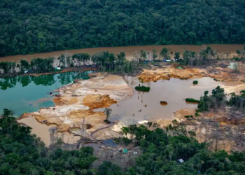 Tierra deforestada por la minería ilegal en Roraima, Brasil