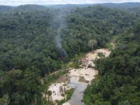 Minería ilegal de oro vuelve a amenazar tierras Yanomami en Brasil