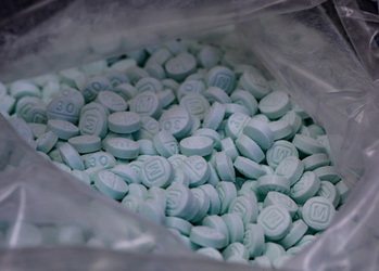A bag of fentanyl in pill form. 
Una bolsa de fentanil en forma de pastilla.